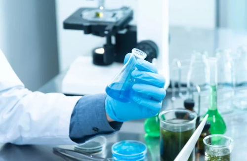 生酮飲食與生物制劑 炎癥管理的新視角